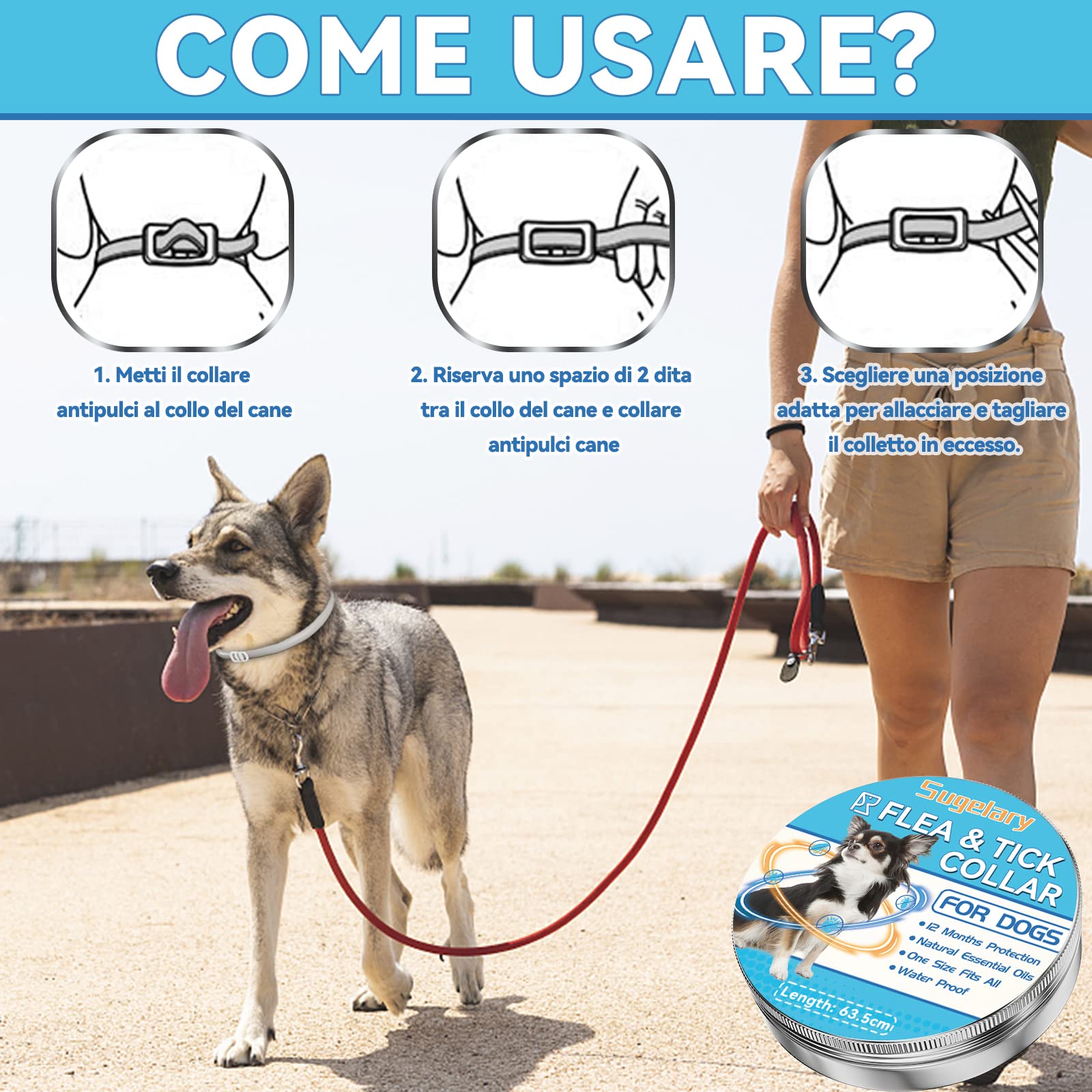 Collare Antiparassitario Cani 63.5cm - Olio Essenziale Naturale Contro Pulci E Zecche | Impermeabile 12 Mesi