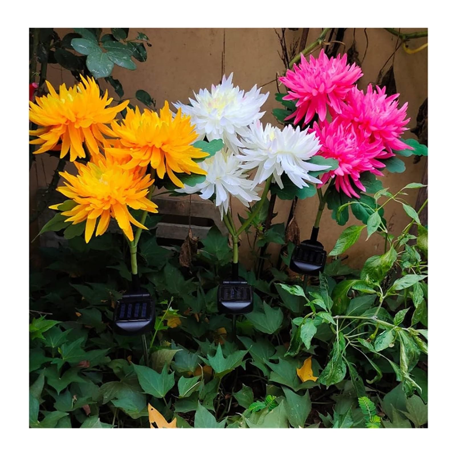 BuTkus Confezione da 4 luci solari da Giardino for Esterni, con Fiori di crisantemo a 3 Teste, Impermeabili (Color : Four Pink)