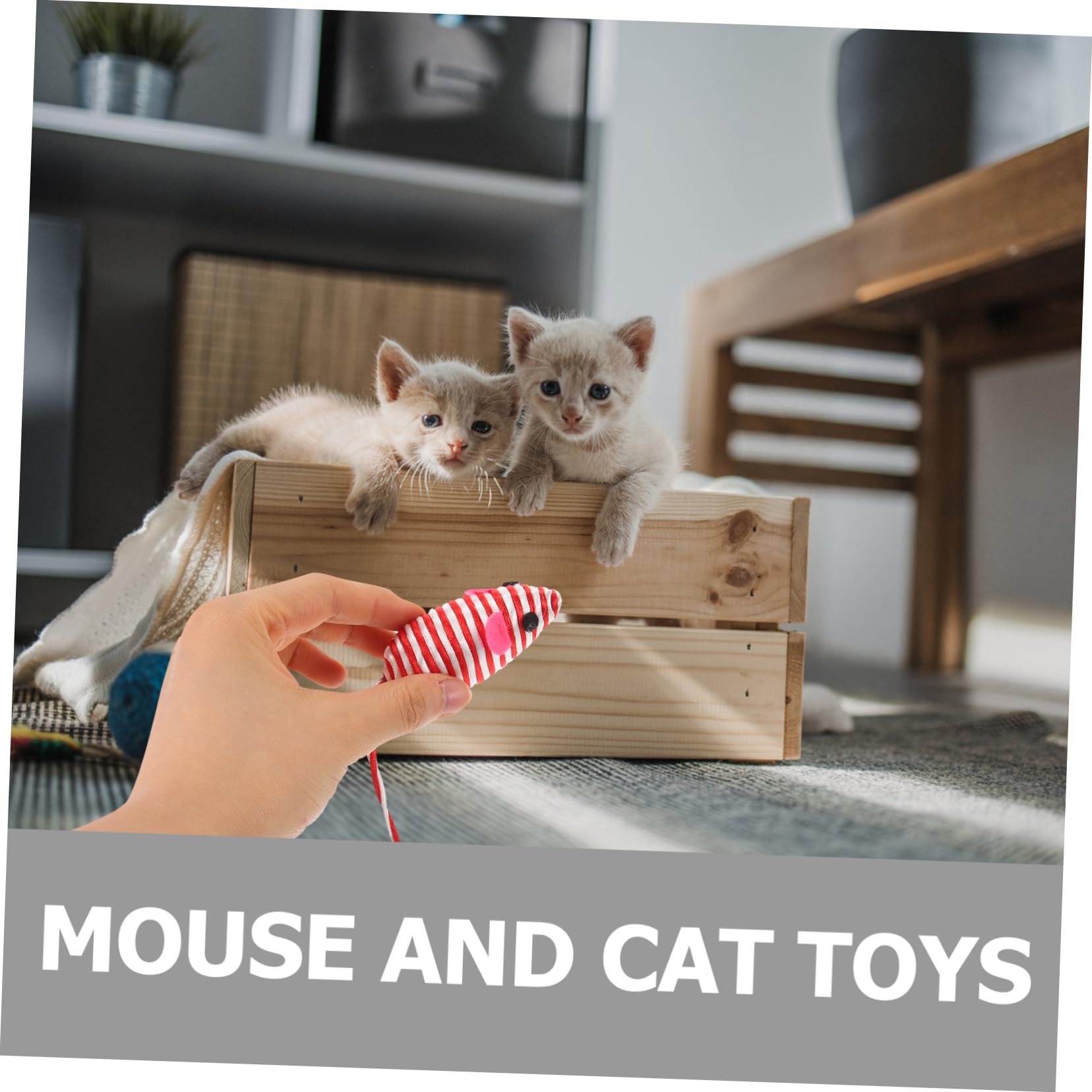 YARNOW Lot De 5 Jouets pour Chat Souris Jouet Portable pour Chasser Accessoires pour Chaton 8 Pièces X 5