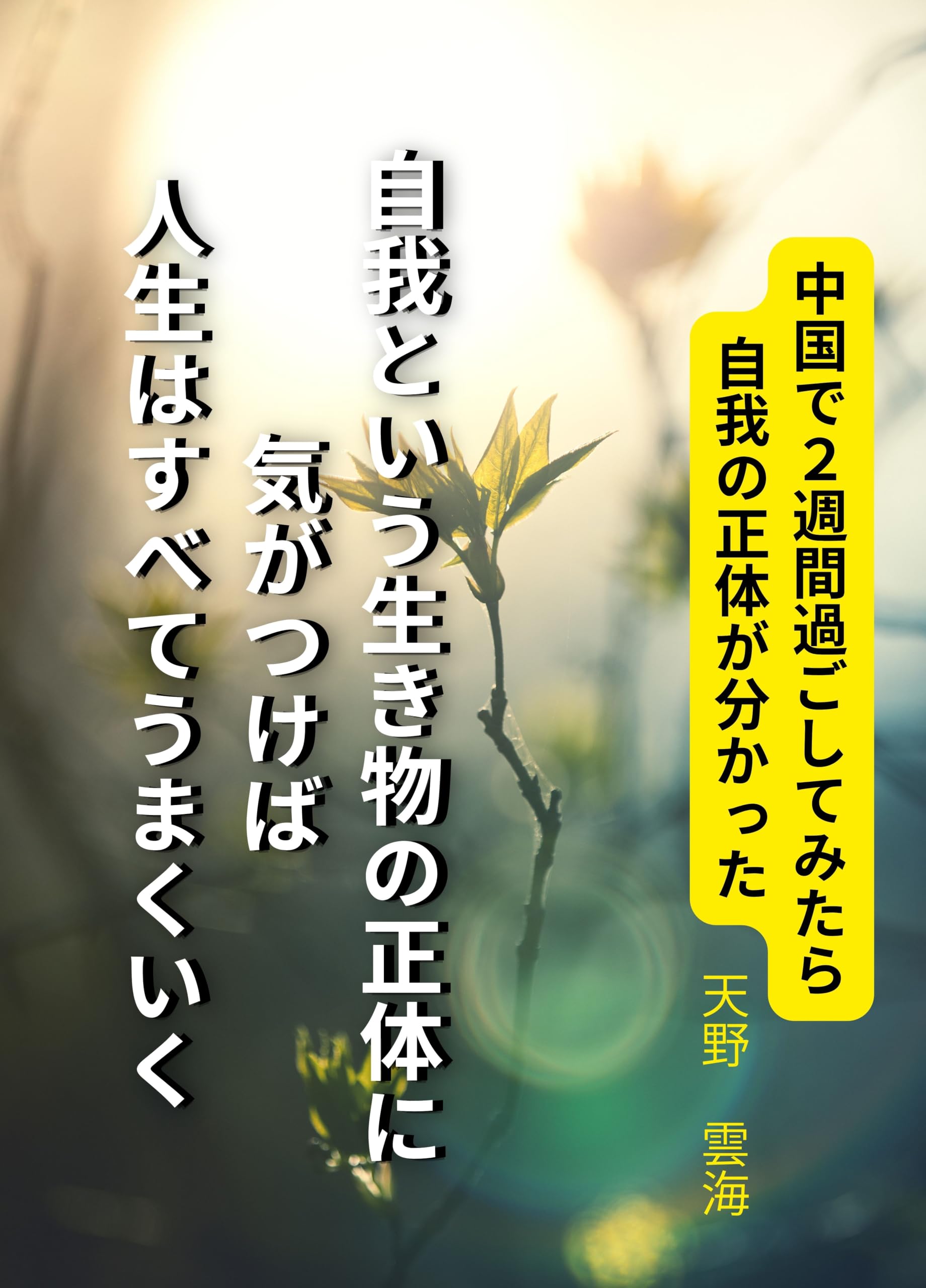 運命学大全 占い師を超えた占いの考え方】天野雲海 スピリチュアル四柱