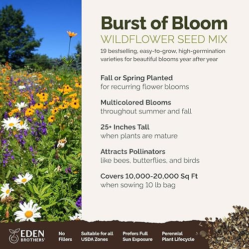 Miniatura 2 de Eden Brothers Burst of Bloom - Semillas mixtas de flores silvestres para plantar, 10 libras, más de 4,800,000 semillas con cosmos, Black Eyed Susan
