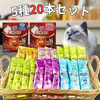 【新品未開封】期間限定 銀のスプーン 三ツ星グルメ キャットフード等11点セット 銀のスプーン 三ツ星グルメ お魚味クリーム 10歳 腎臓の健康維持