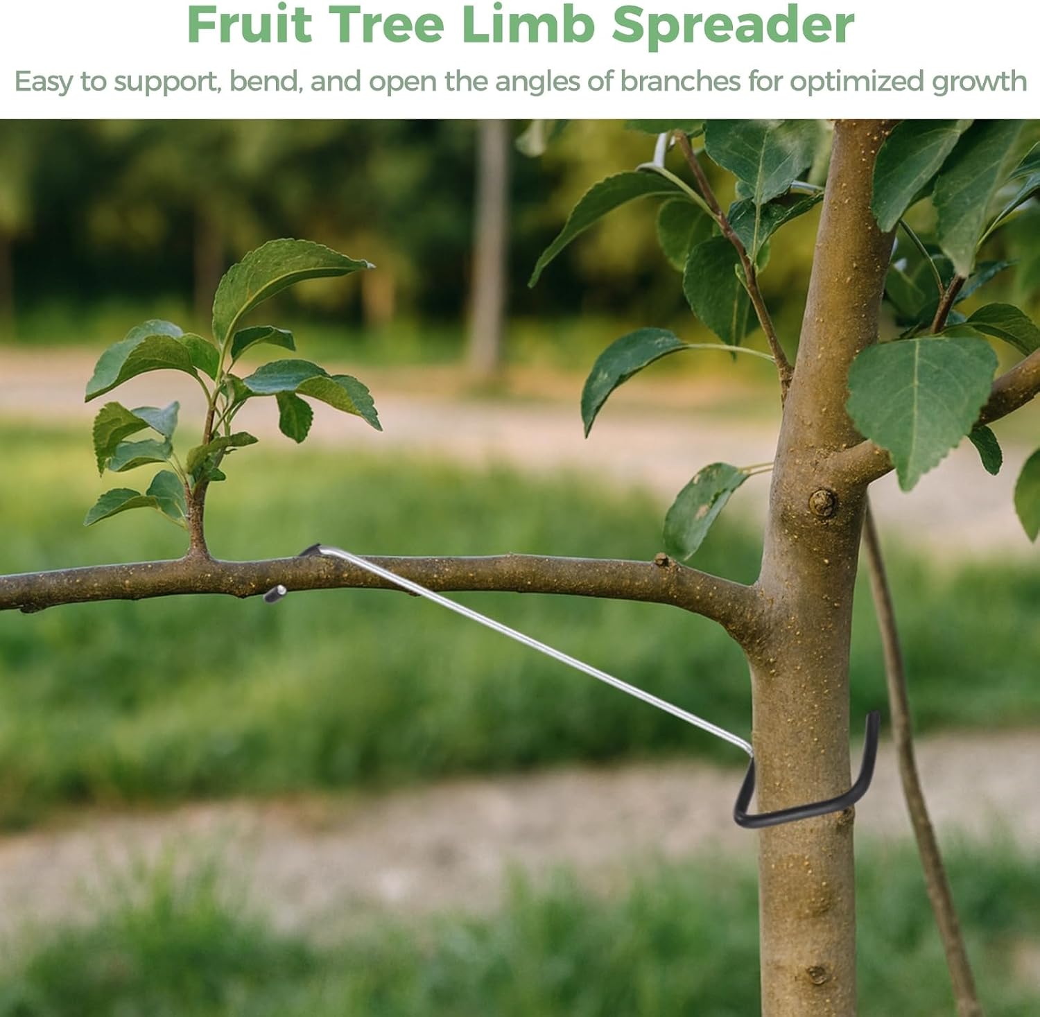 OMISTAR 24 Pcs Fruit Tree Limb Spreaders, Tree Branch Puller Spreaders, Plant Training Tools, Reusable Rubber Wrapped Steel Wire, Tree Open Angle Bending Tools for Orchard & Garden image 2