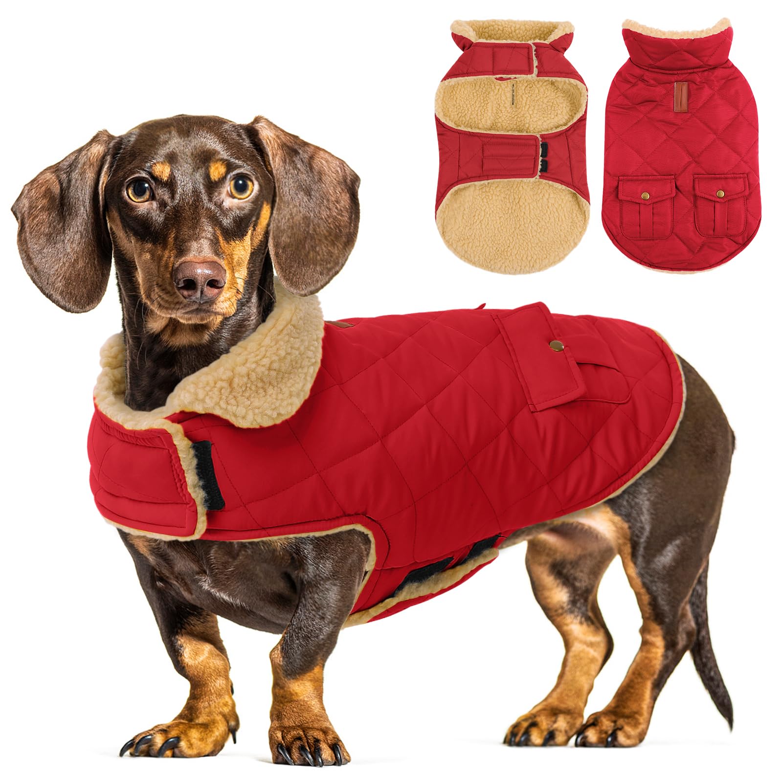CITÉTOILE Dog Winter Coat Windproof Dog Jacket Red XL