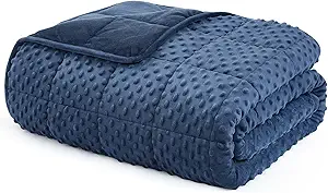 L'AGRATY Weighted Blanket for Adult - 60"x80" 15lbs Minky Dots Heavy Blanket with Glass Beads Soft Breathable for All-Season Summer Fall Winter Thick Comfort for Sleeping