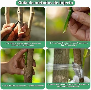 5Pcs Grafting Tape for Grafting Stretchable and Transparent Grafting Tape with 10Pcs Ties for Fruit Tree Grafting and Branch Repair in Nurseries and Gardens