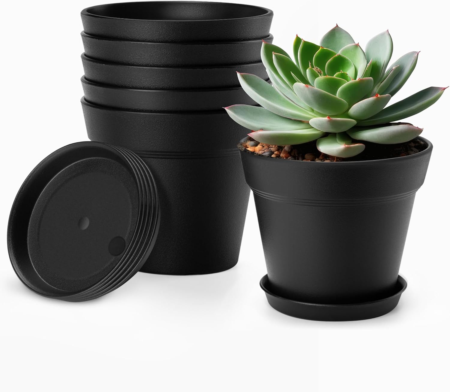 FHWTY 4 Inch Plastic Plant Pots 6 Pack Review: Durable Drainage Pots for Succulents, Herbs & Seedlings