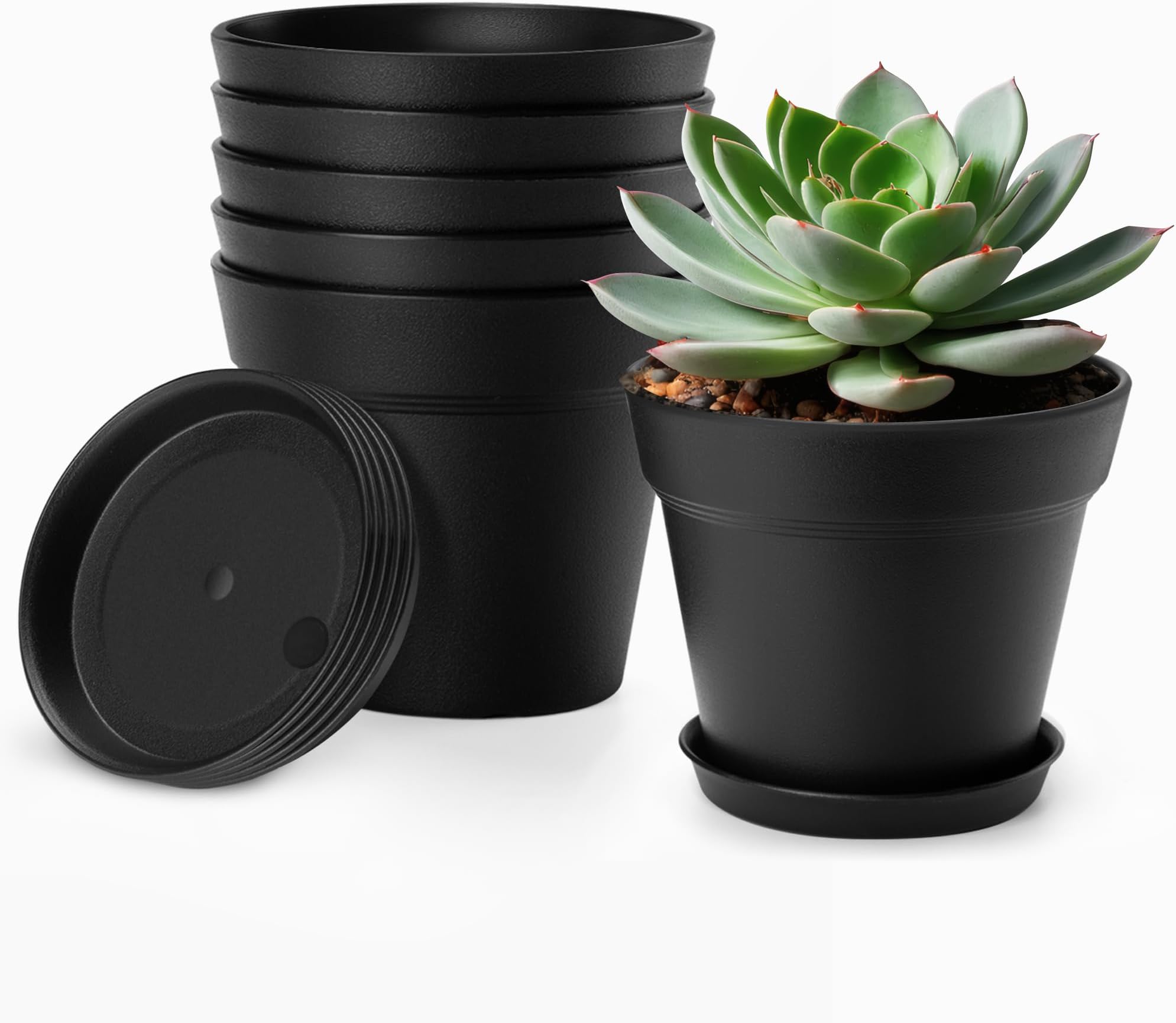 4 Inch Plastic Plant Pots 6 Pack, Small Flower Pots with Drainage Holes and Tray, Thickened Indoor Planters Seedlings Nursery Pots, African Violet, Succulent and All House Plants, Black