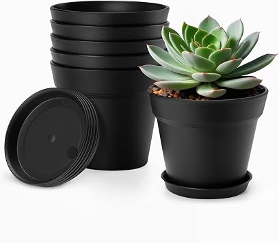 4 Inch Small Plant Pots 6 Pack, Plastic Plant Pots Indoor Saucer, Black