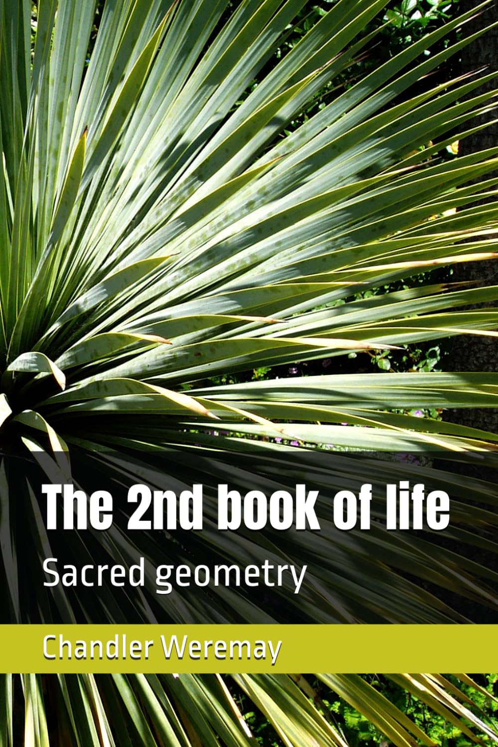 The 2nd book of life: Sacred geometry