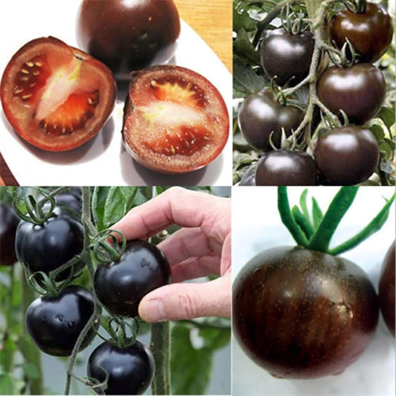 AYWAL Black Tomato F1 Hybrid Vegetable Home/Garden (Pack Of100 Seeds) B6 (B0BT543RB4) Amazon Price History, Amazon Price Tracker