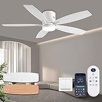 KNUN 52 Inch Flush Mount Ceiling Fan with Lights, Remote & App Control, Dimmable 3CCT, Quiet DC Motor, Reversible Blades - Low Profile Indoor/Outdoor
