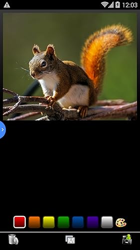 Squirelss