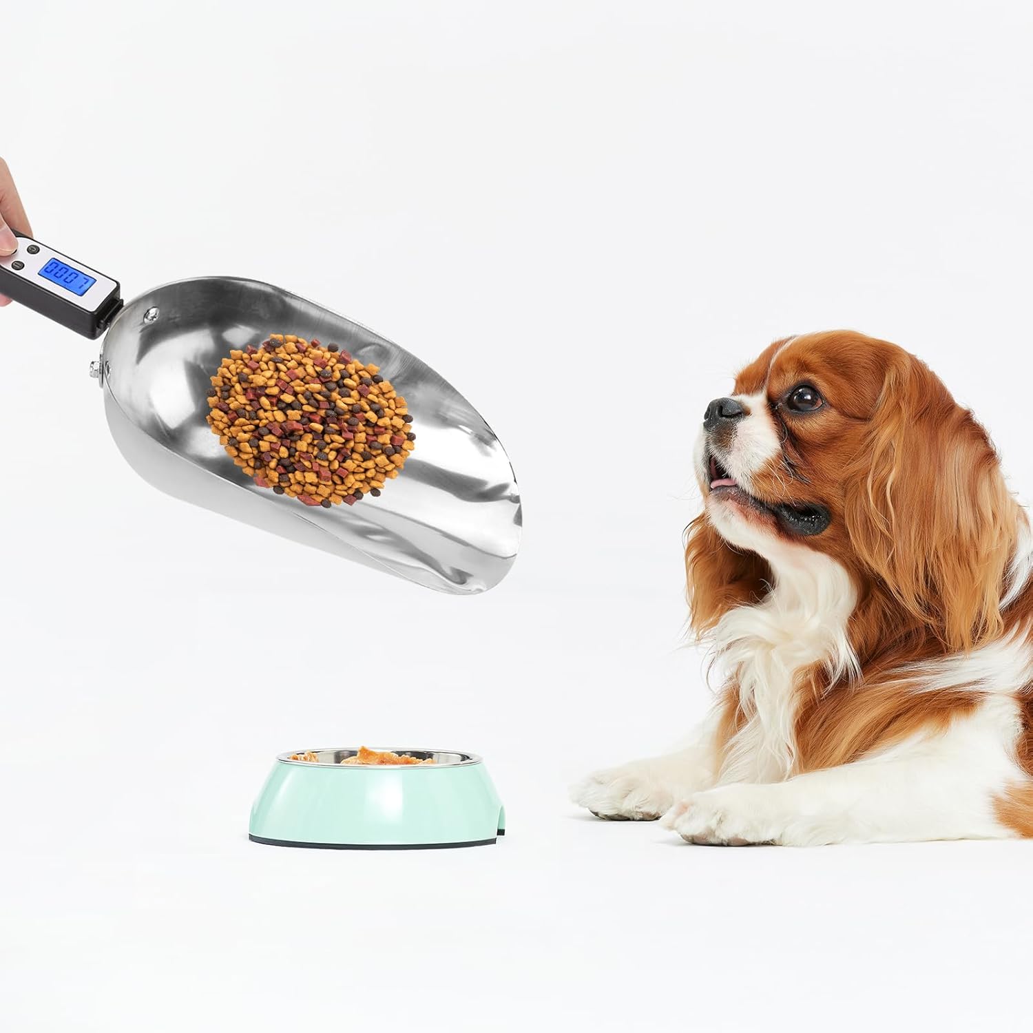 Electronic Measuring Spoon Kitchen Digital Spoon Scale Poultry Food Weighing Spoon Feed Shovel Digital Spoon Scale Food Measuring Scoop Scale for Food Farm Poultry Feeding Tool