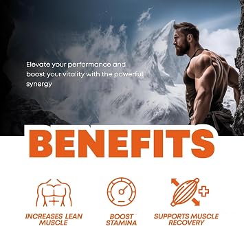 Workout Performance Formula ; 1 pc
