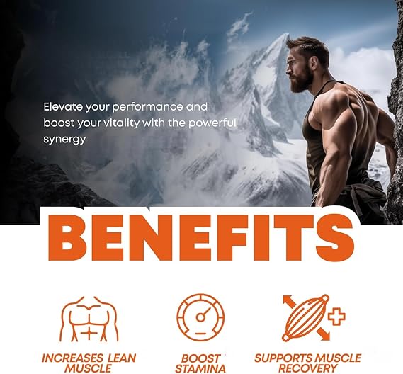 Workout Performance Formula ; 1 pc