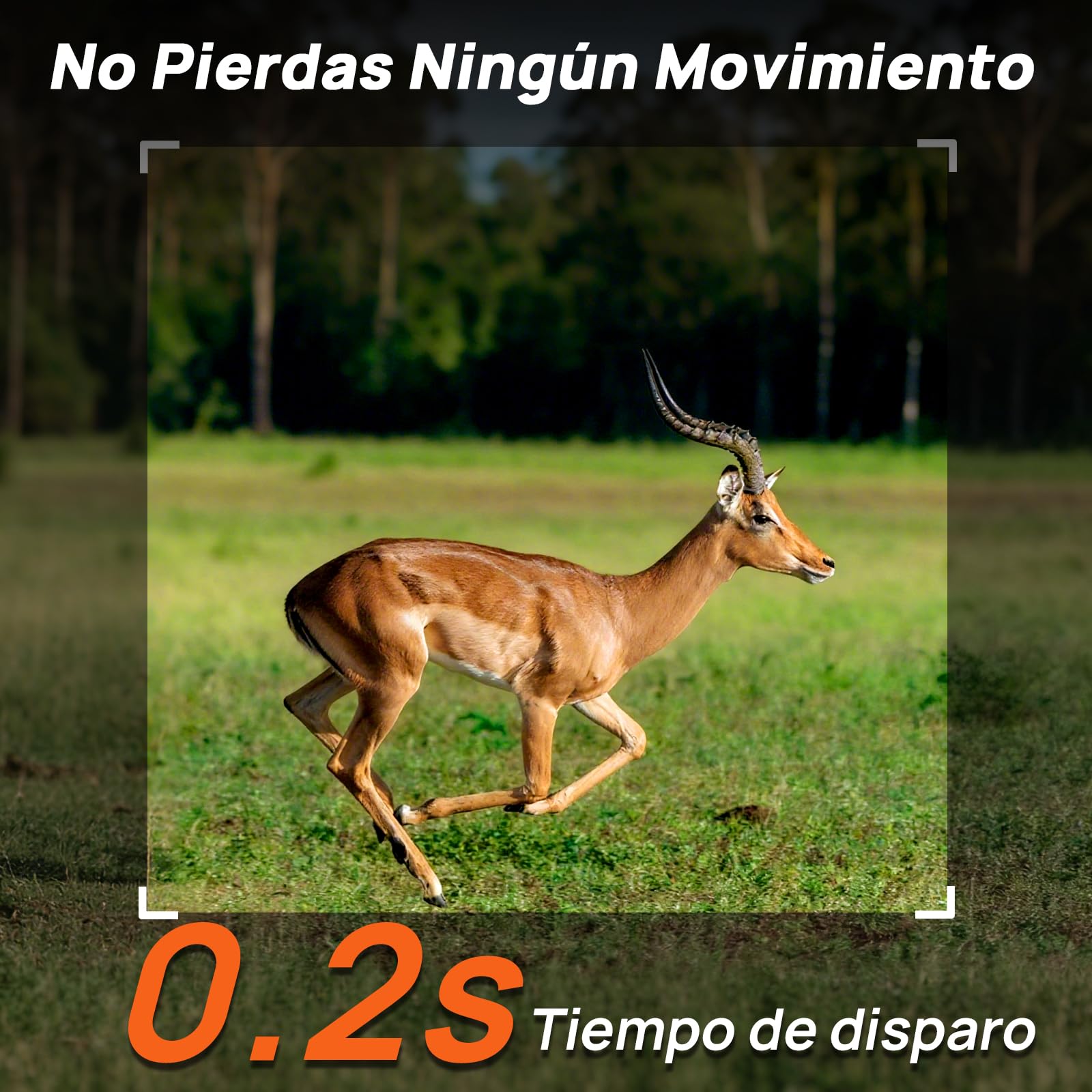 iZEEKER 2 en 1 Cámara de Caza 4G LTE 2K HD 48MP, Cámara Fototrampeo con App, Visión Nocturna Infrarroja, Detector de Movimiento, Cámara de Animales Salvajes IP66 Resistente al Agua