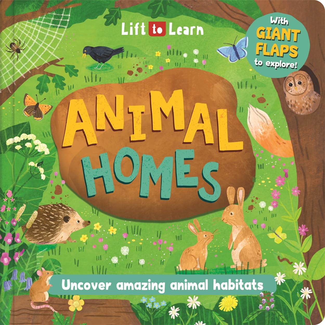 Animal Homes (Lift the flaps to discover and learn)