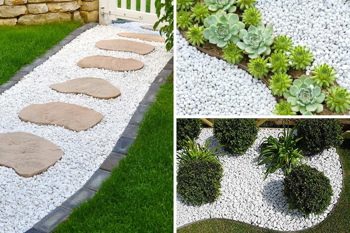 Ghiaia Bianco 1,5/25KG - Ghiaia per Acquario - Sassolini Decorativi per Vasi - Sassi Decorativi per Vasi - Ghiaia per Vasi - Sassolini per Acquario - Ghiaia per Giardino, ZEN (1,5 Kg Sacco)