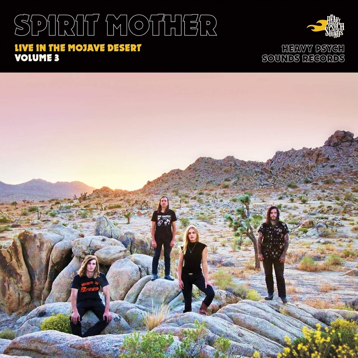 Live In The Mojave Desert [VINYL]