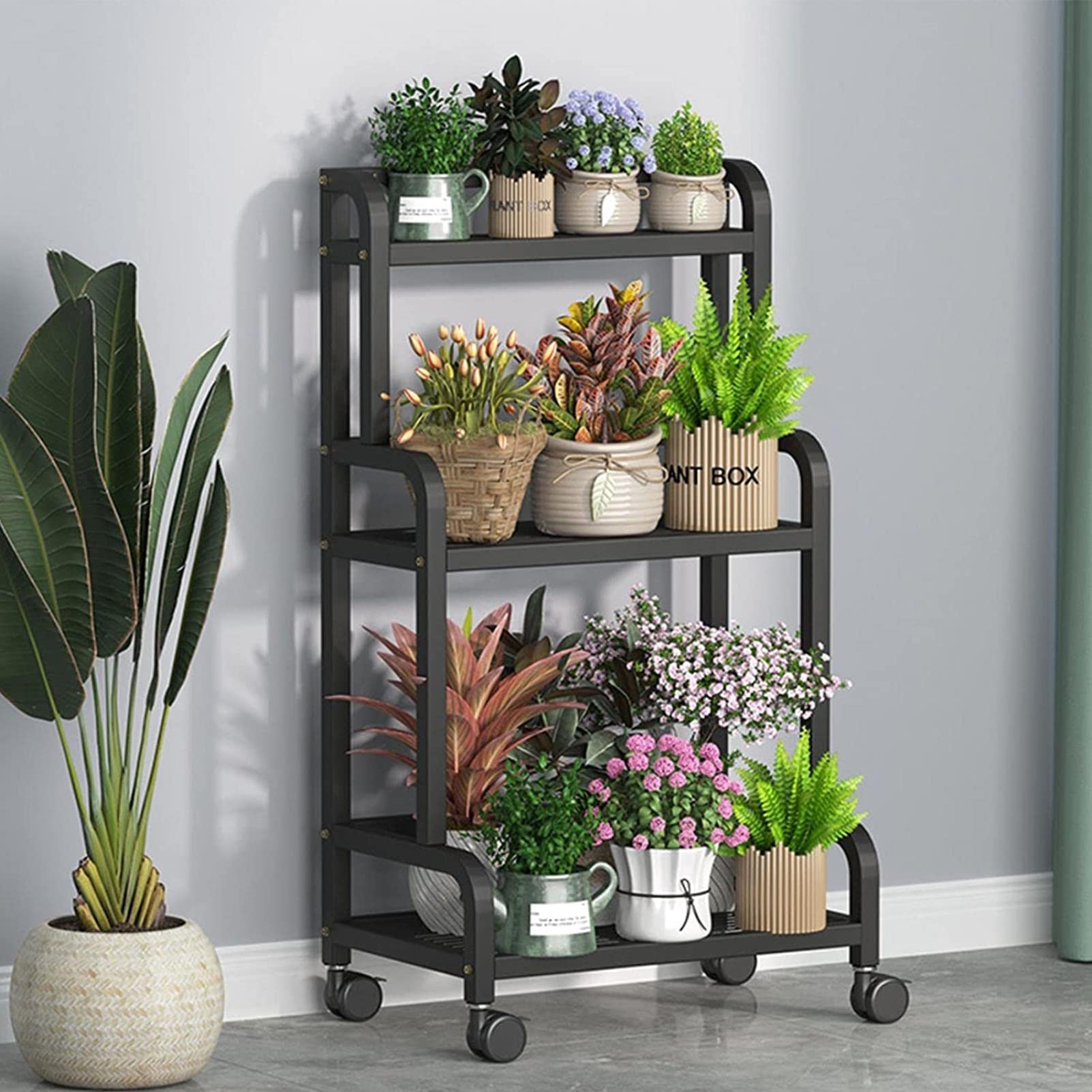 Support échelle de jardin à 3 niveaux pour bonsaï extérieur et intérieur - 107 cm de haut - Support en métal noir