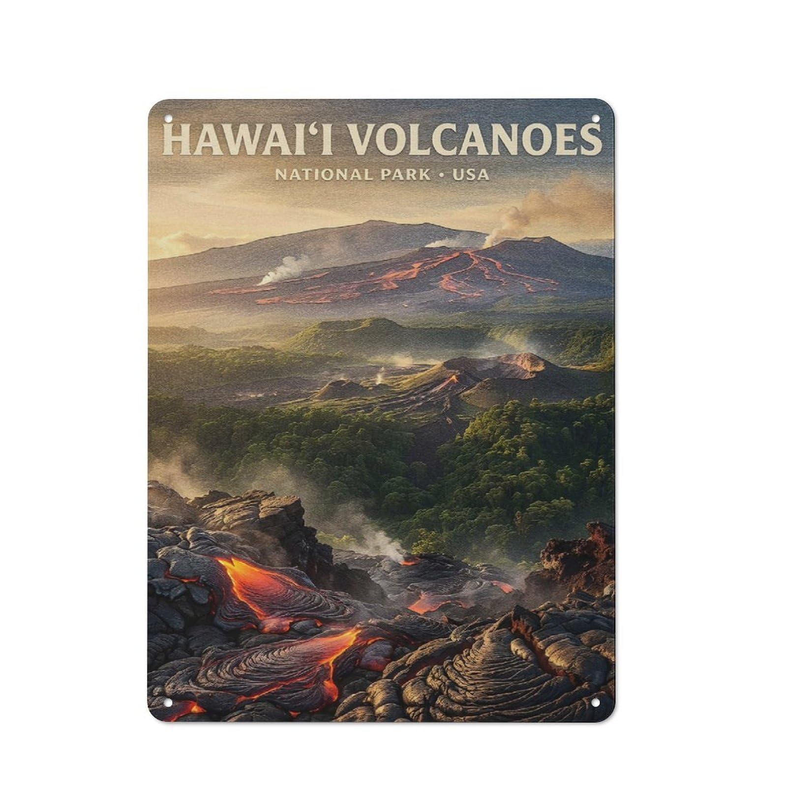 Junmoney Style-19 Smart Hawaii Volcanoes National Park Office Metal Sign 40X30cm, Creative Space Decor For Home Office, Reading Corner Or Bedroom
