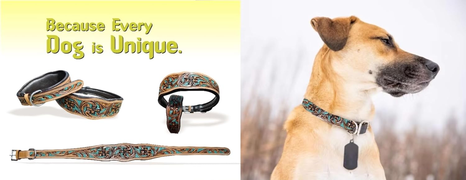 Majestic Ally Leather Dog Collar with Adjustable, Padded Fit for Walking, Hiking, and Running, Designer Western Wear for Puppies, Fancy Colors (Turquoise - Natural, Medium)