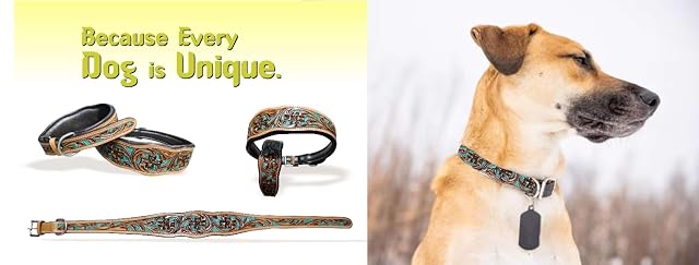 Foto 4 de 8 de Majestic Ally Collar de perro de cuero genuino con ajuste acolchado ajustable para caminar