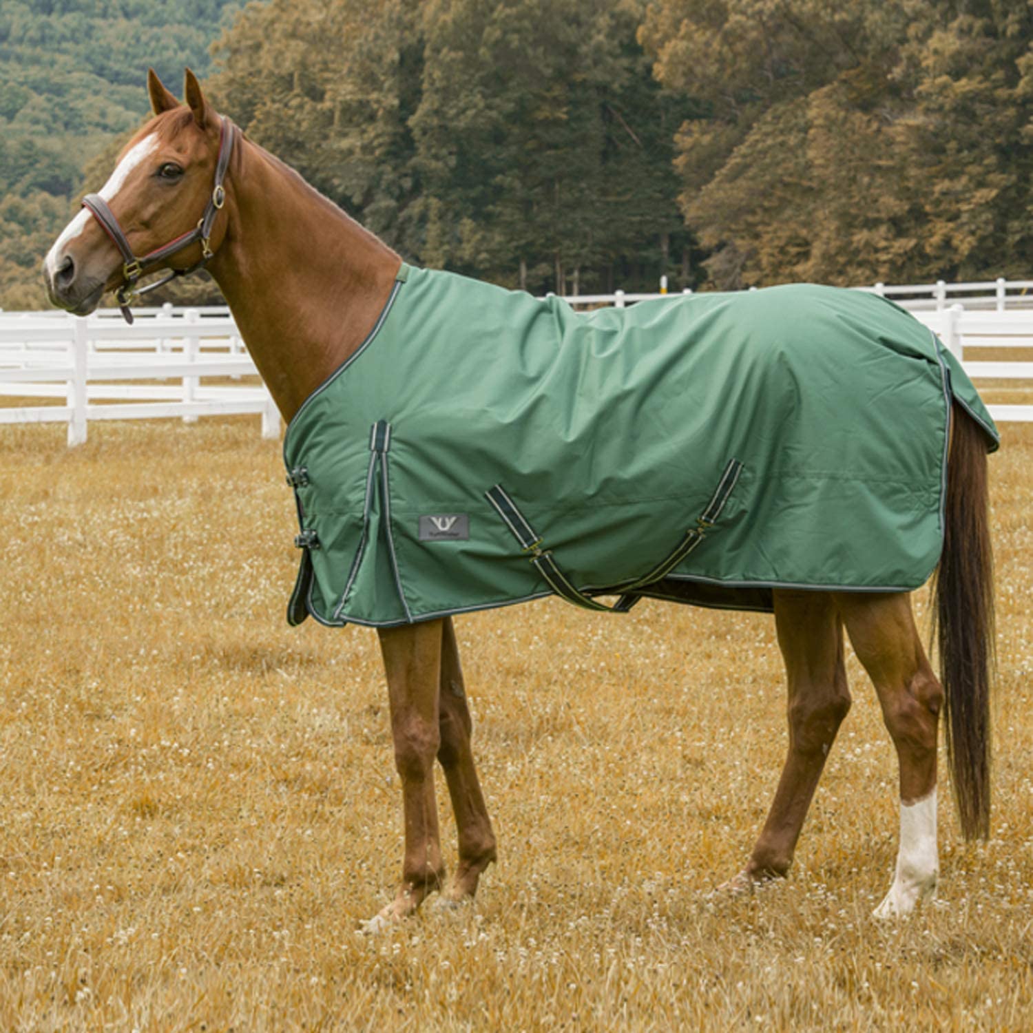 Couverture d'extérieur cheval imperméable chaud tapis de soin hiver ripstop 600D