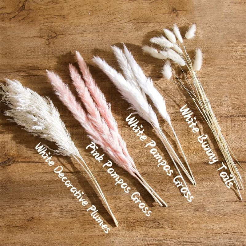 Pampas Grass Large 60pcs Dried Pampas Grass Decor miniatura 4