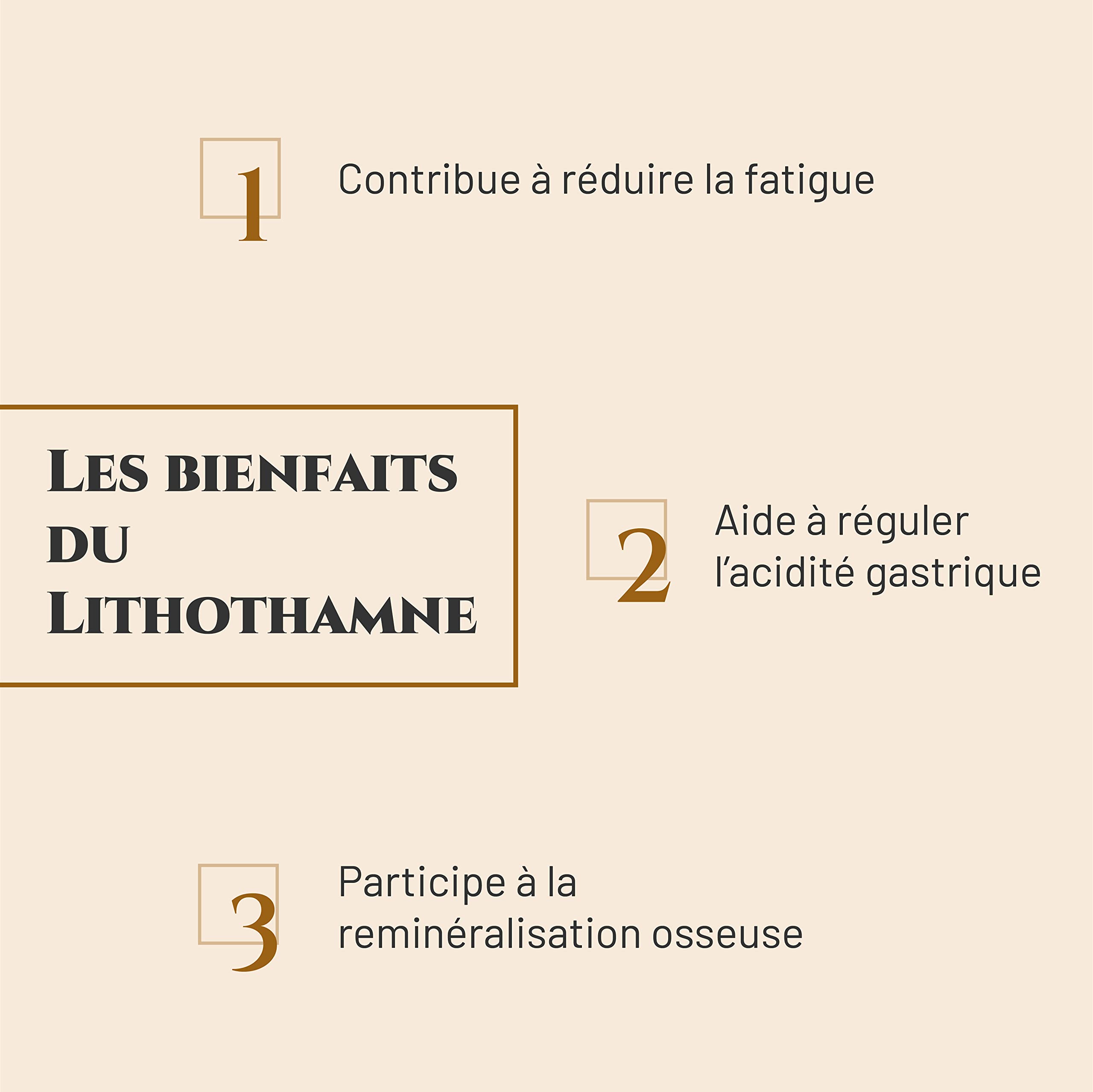 LITOTHAMNE - Complemento nutricional Caballo - Cubo de 1 kg - Calcio natural - Ayuda a regular la acidez gástrica - Remineralización - Marca francesa (Seau 1 kg)