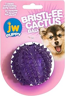 JW Pet BRISTLY Cactus Ball Dog Toy, Purple