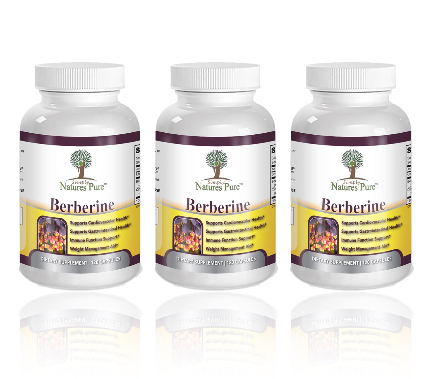 Premium Berberine HCl 500mg - 360 Capsules - Cardiovascular gastrointestinal Immune Weight Loss Supp