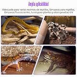 Ver la foto 8