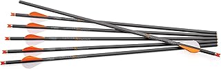 CenterPoint Archery CP400 Select 400-Grain 20-Inch Carbon Arrows AXCCA20TPK, Pack of 6