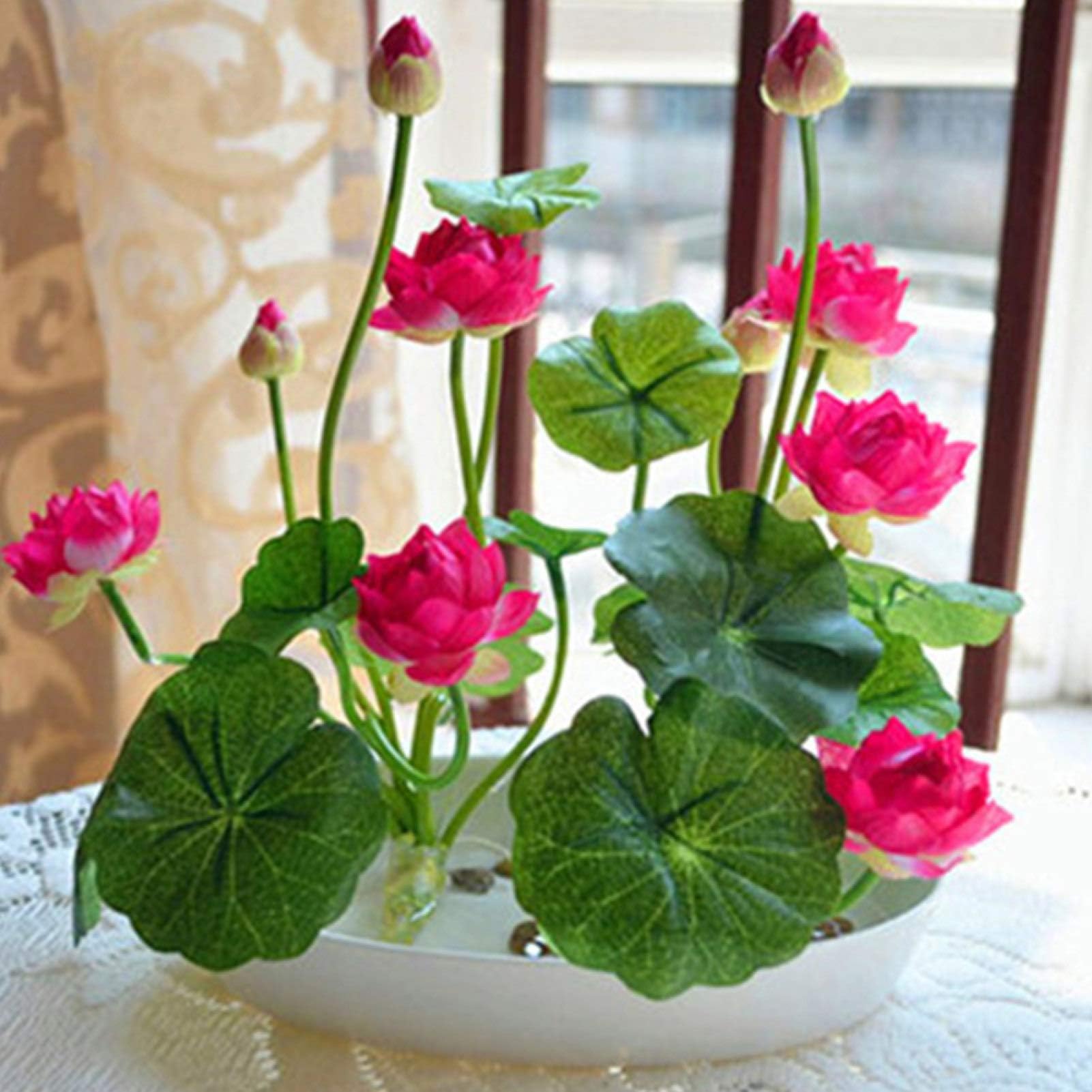 20Pcs Bowl Lotus Seeds Bonsai Plants Home Garden Hydroponic Aquatic Flower Decor - Rose Red Bowl Lotus Seeds - Flower Seeds Vegetable Seeds Fruit Seeds Garden Plant Seeds
