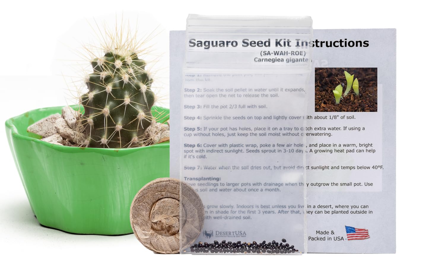 cactus singing toy Dancing Singing Talking Cactus Wholesale main image 0