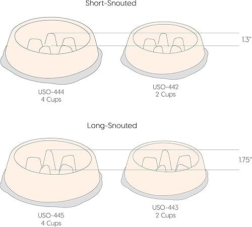 Miniatura 4 de IRIS Tazón grande de alimentación lenta de Estados Unidos para mascotas de hocico largo, cuenco de alimentación lenta con protuberancias elevadas
