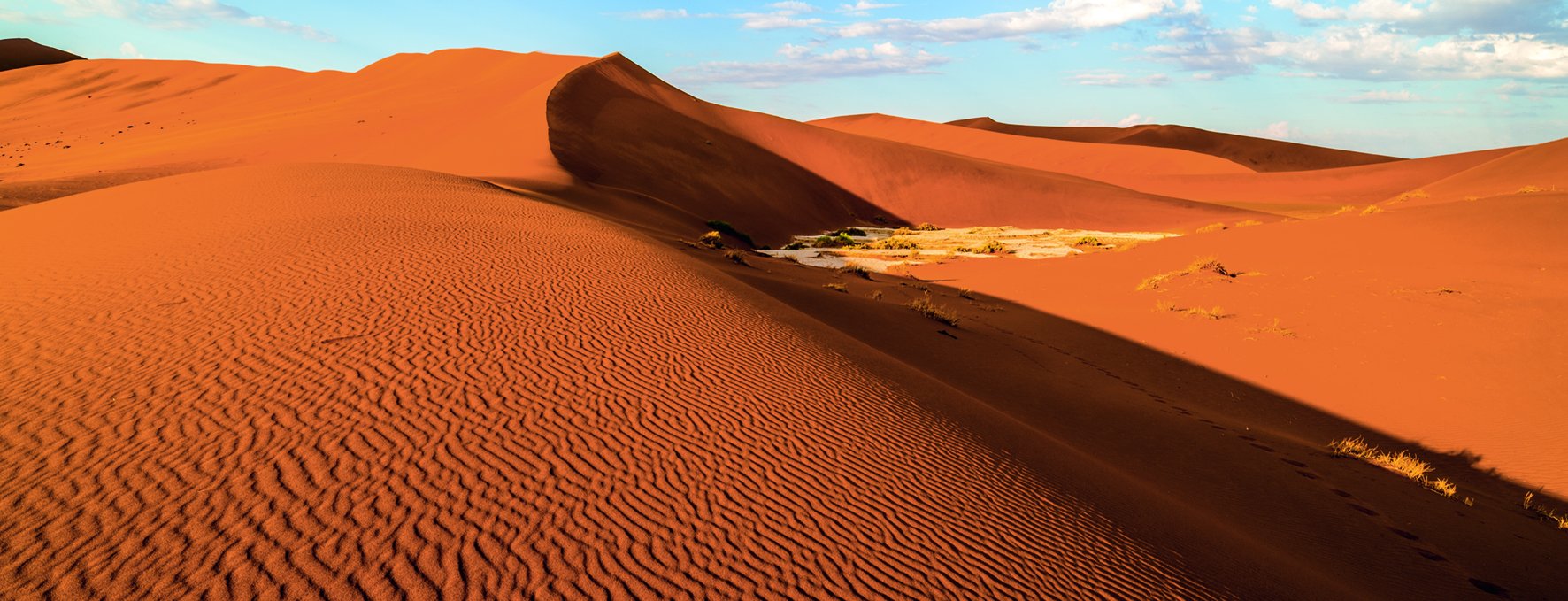 The Namib Desert: Art, Structures, Colors