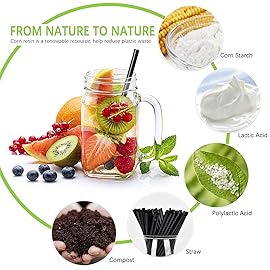 Plasticless 100 Pcs PLA Disposable Drinking Straws Corn Plant Based Biodegradable Straws, BPA Free Compostable Stir Sticks Black Reusable Straw Alternative to Plastic Straw for Party Drinks