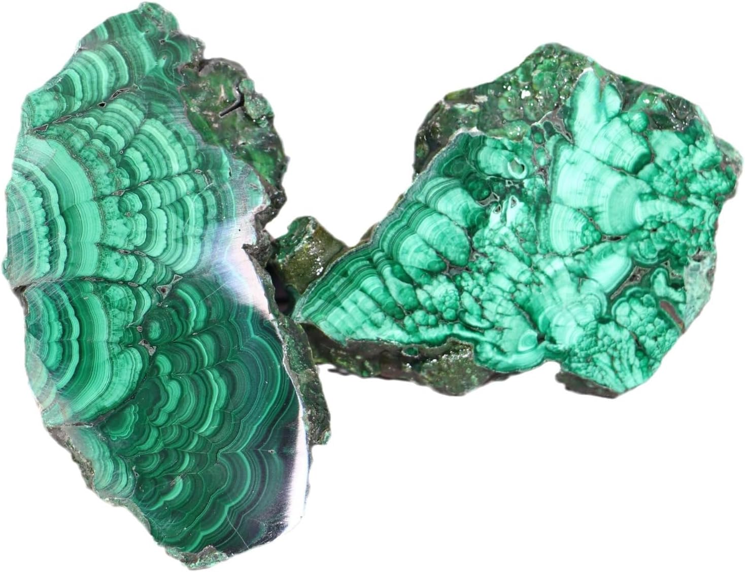 Natural Malachite Slice – Polished Mineral Crystal Specimen with Raw Stone | Unique Decorative Stone for Home Decor, Collection & Geological Science Education