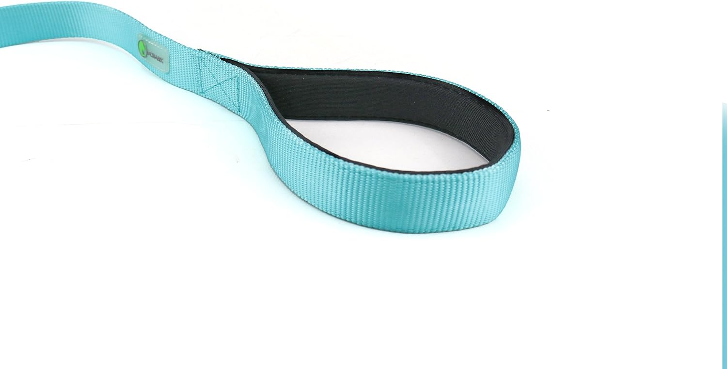 DCBARK Tangle Free Double Dog Leash, No Tangle Adjustable Length Lead with Comfortable Padded Handle for 2 Dogs (M, Turquoise)