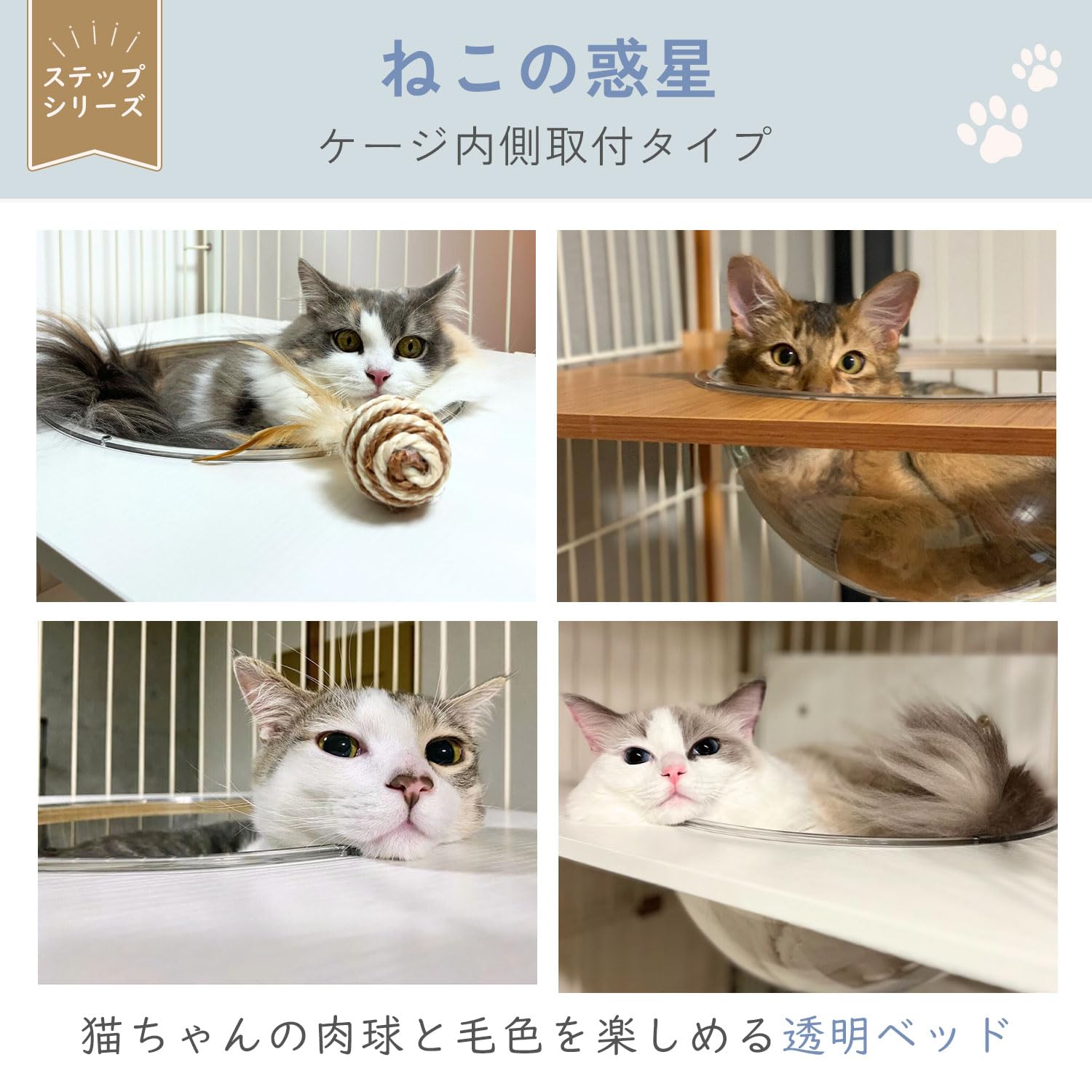 Amazon.co.jp: 【公式】 ieneko ねこの惑星 透明ボウル 猫 ケージ