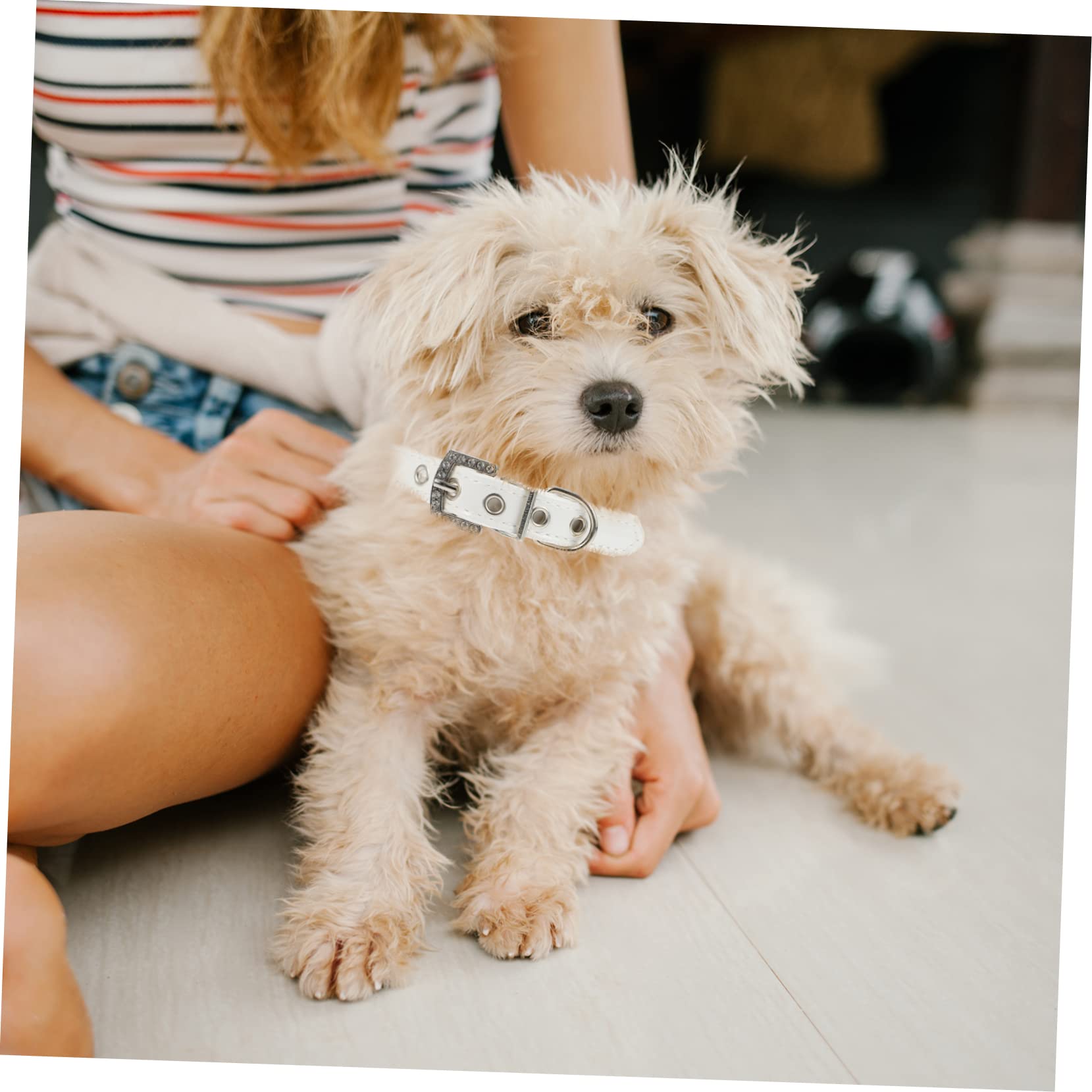 Hundeleine Halsband mit Perlen, 2 Stück, Pu Leder, Weiß | Welpen und Hunde, Flexibel und Verstellbar, Süßes Design, Leicht und Auszuziehen