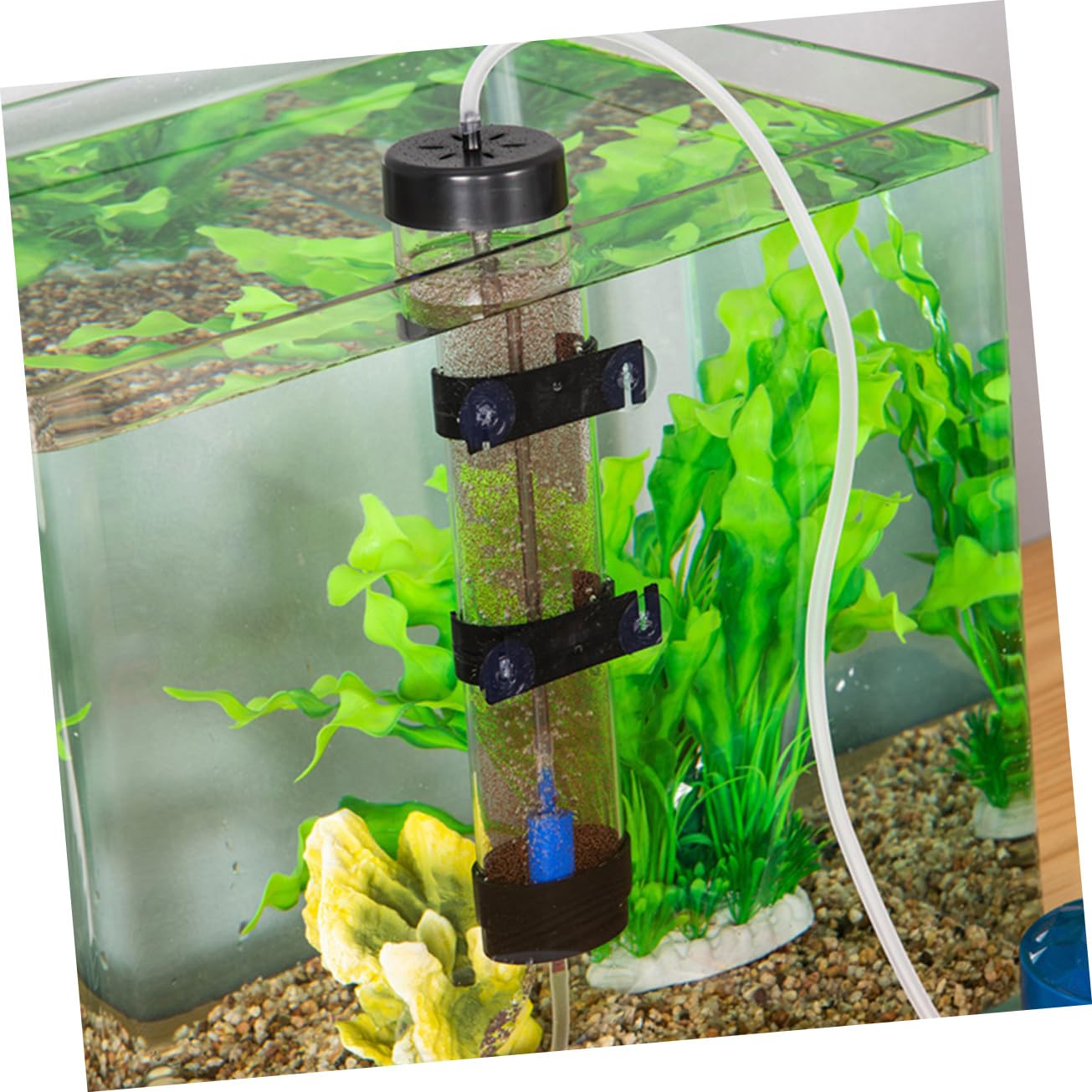 Toyvian Incubadora de Huevos de Camarón para Cría de Peces, Plástico