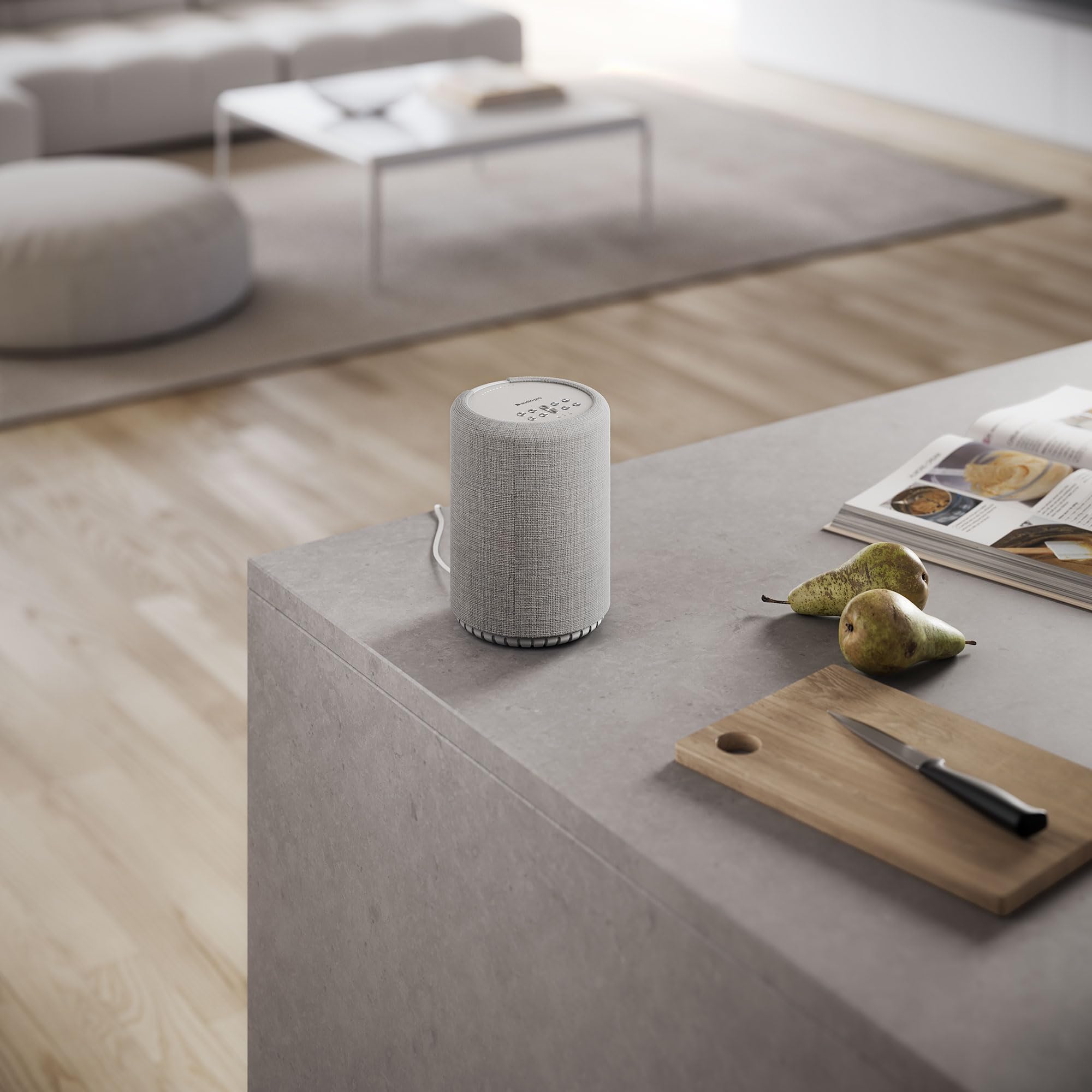 Audio Pro A10 MkII W, enceinte multipièce WiFi et Bluetooth 5.0, classe numérique 52 W, croisement 300 Hz, AirPlay 2, Google Cast, Spotify Connect, Bluetooth 5.0, support mural/plafond (gris clair)