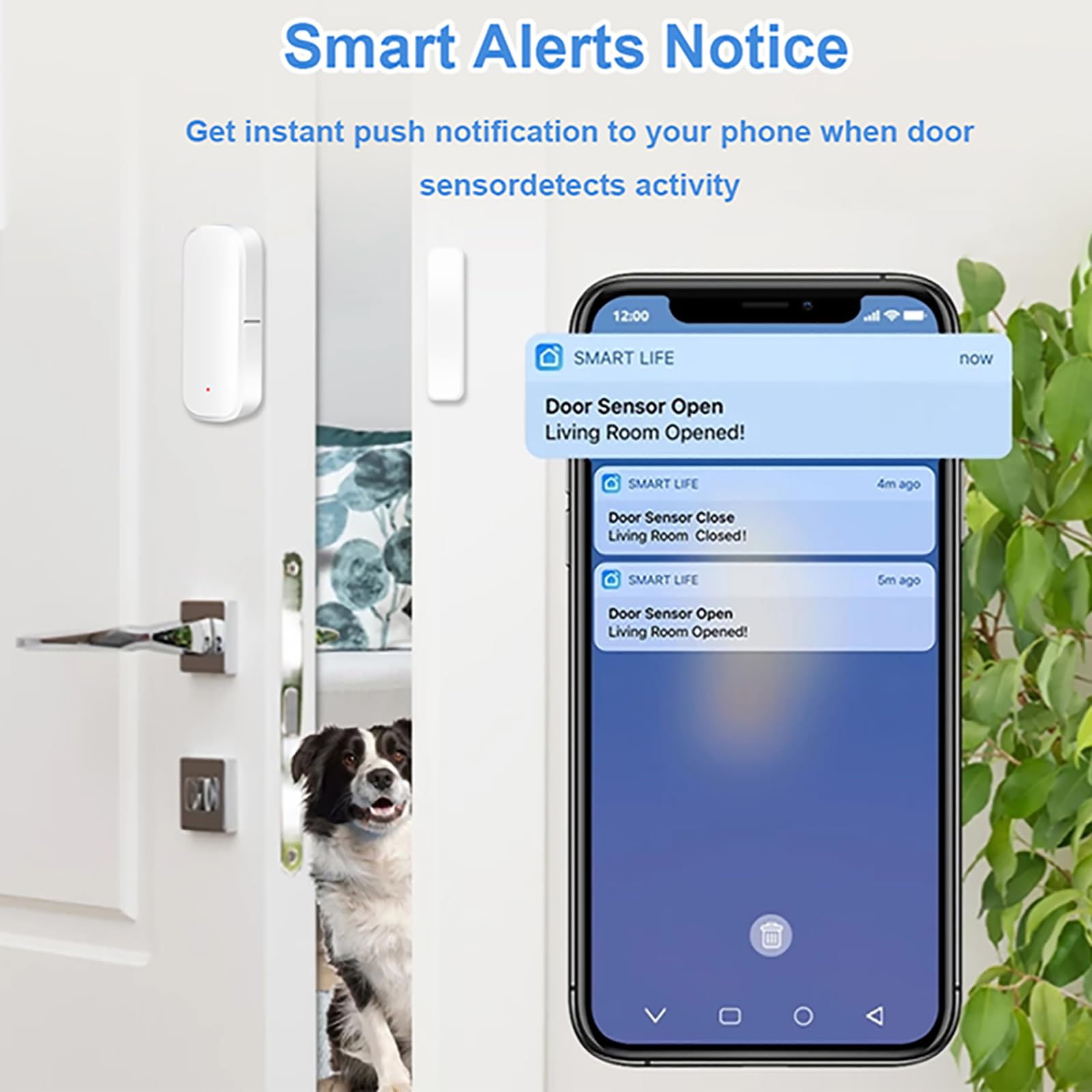 10xWiFi Smart Türsensor, Tür-Fenstersensor – für Tuya drahtloser Türfenster Sensor Alarm App Push Benachrichtigungen, kabelloser Fensterkontakt-Sensor für Heimsicherheit und Smart-Home-Automatisierung