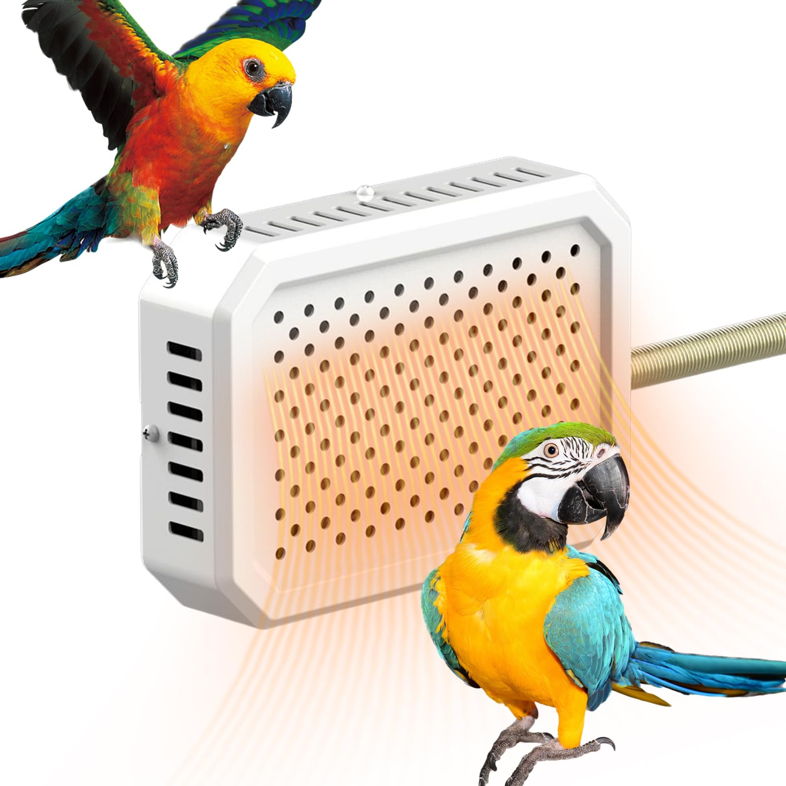 Riscaldatore Uccelli - Termostato Riscaldatore per Piccoli Animali,Rettili per Inverno Riposo Nidificazione Guinea Pig