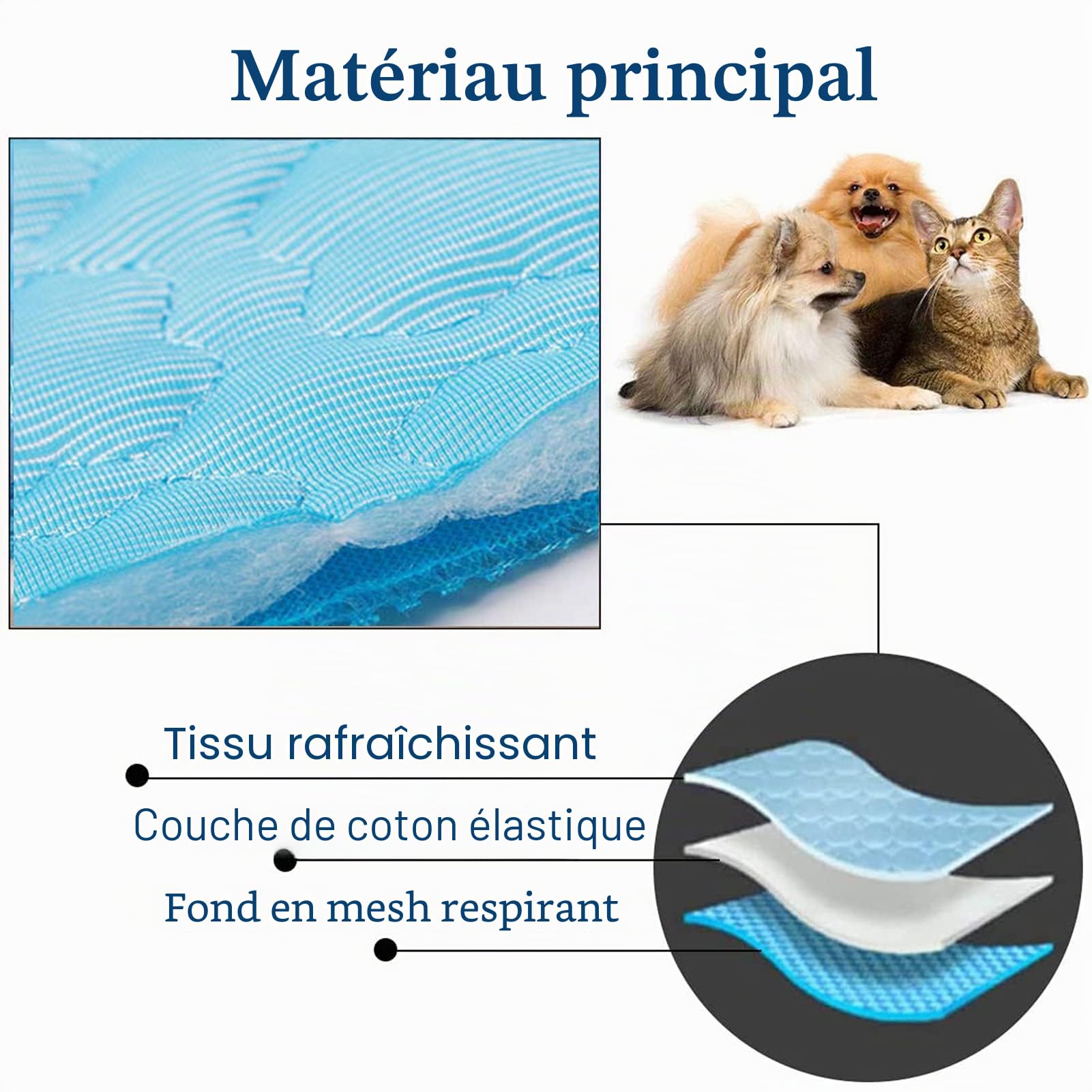 Tapis rafraîchissant pour Chien, 100 x 70 cm - Auto-rafraîchissant - Tapis rafraîchissant pour Chiens et Chats - Auto-rafraîchissant - Tapis de Refroidissement pour Animaux de Compagnie (XL)