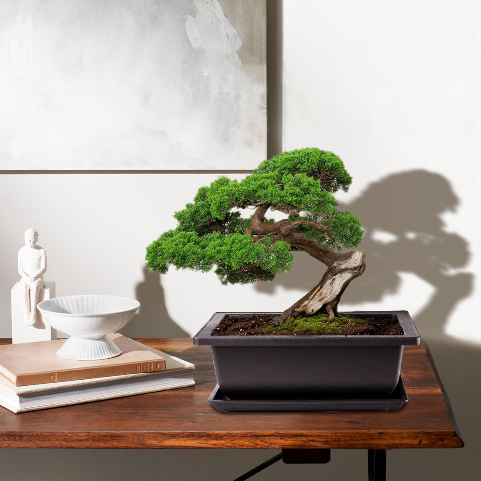 Sottovaso per bonsai in Plastica 27 cm. | Leroy Merlin